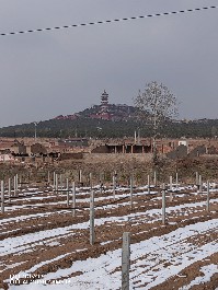 大同