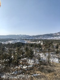大同