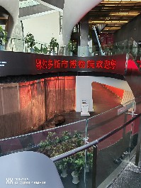 鄂尔多斯