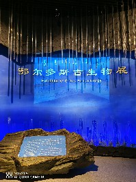 鄂尔多斯