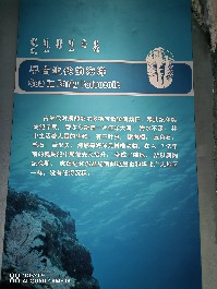 鄂尔多斯