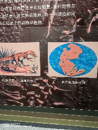 鄂尔多斯