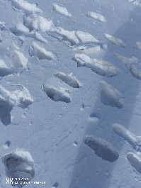 鄂尔多斯
