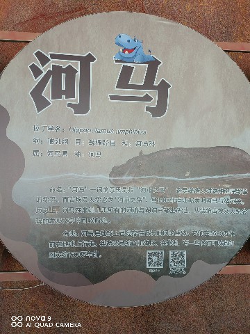 鄂尔多斯