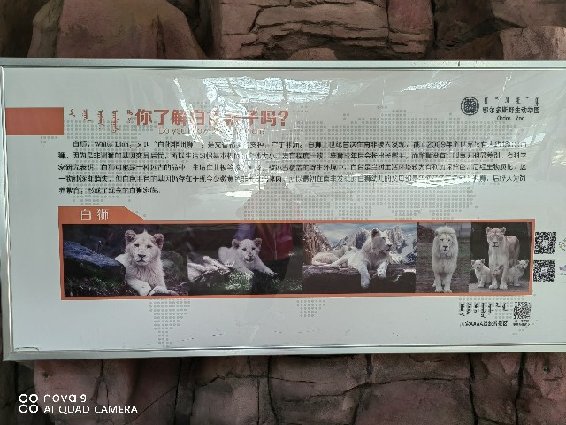 鄂尔多斯