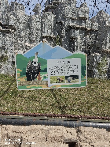 鄂尔多斯