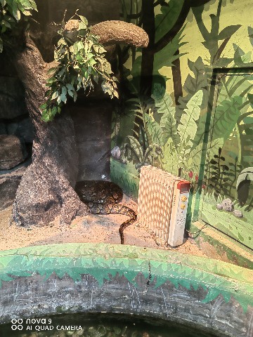 鄂尔多斯