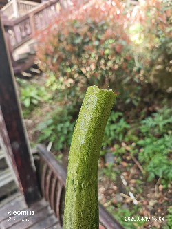 恩施