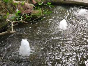 广州