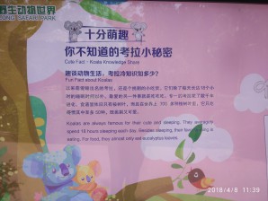 广州