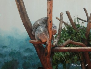 广州