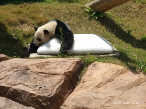 周守俭
