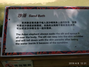 广州