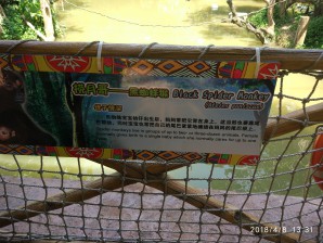 周守俭