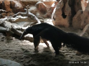 周守俭