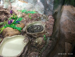 广州