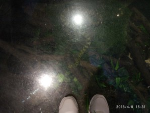 广州