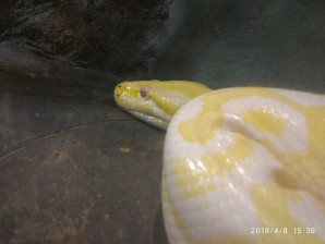 周守俭