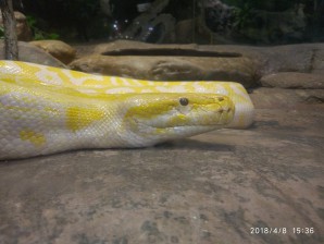周守俭