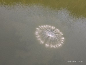 广州