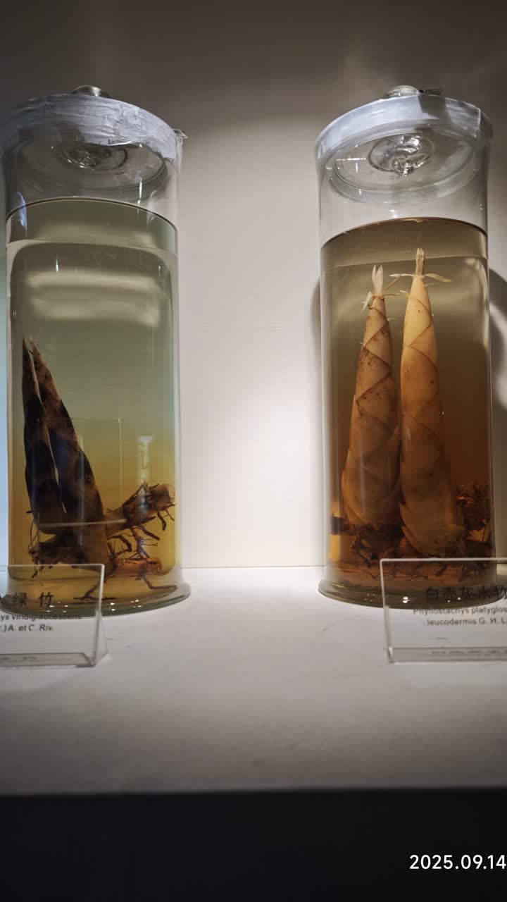 湖州
