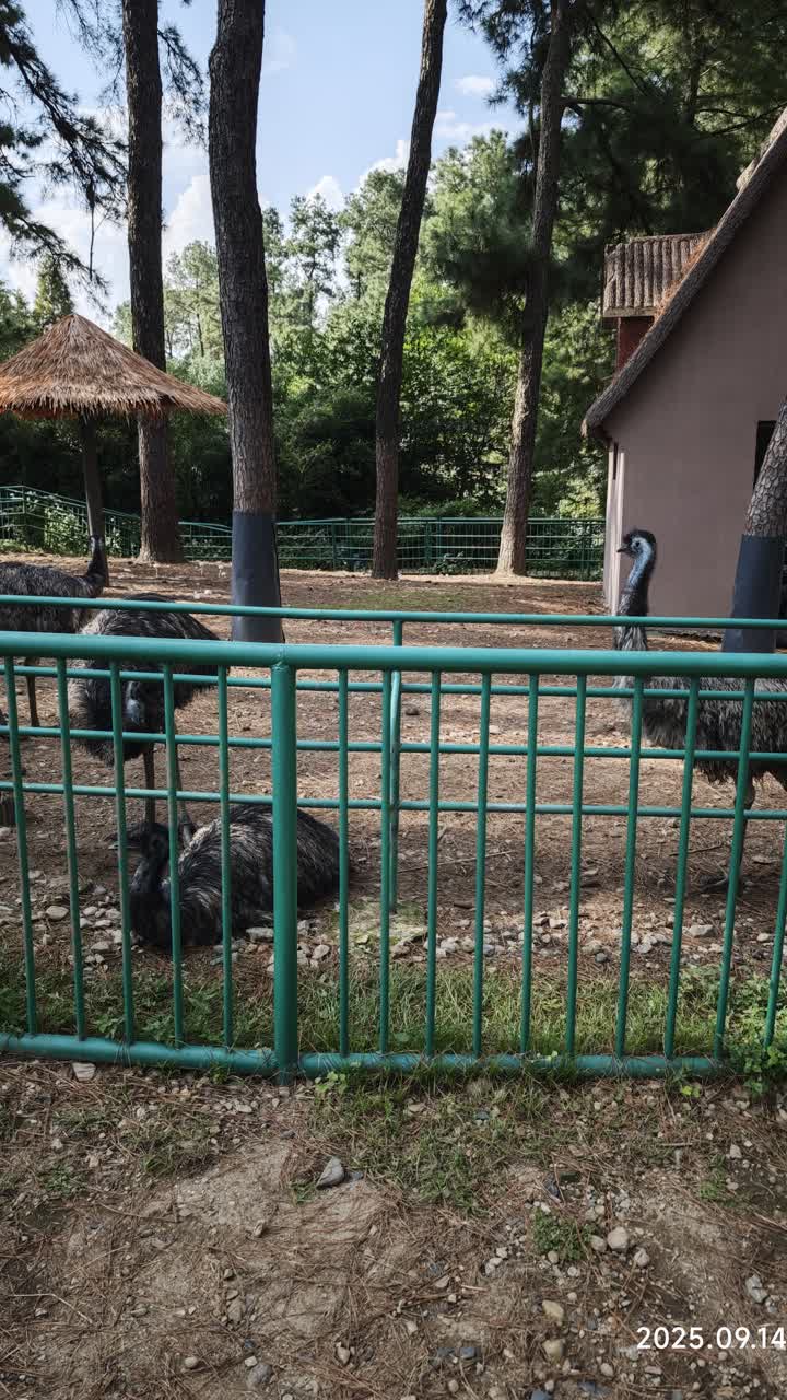 湖州