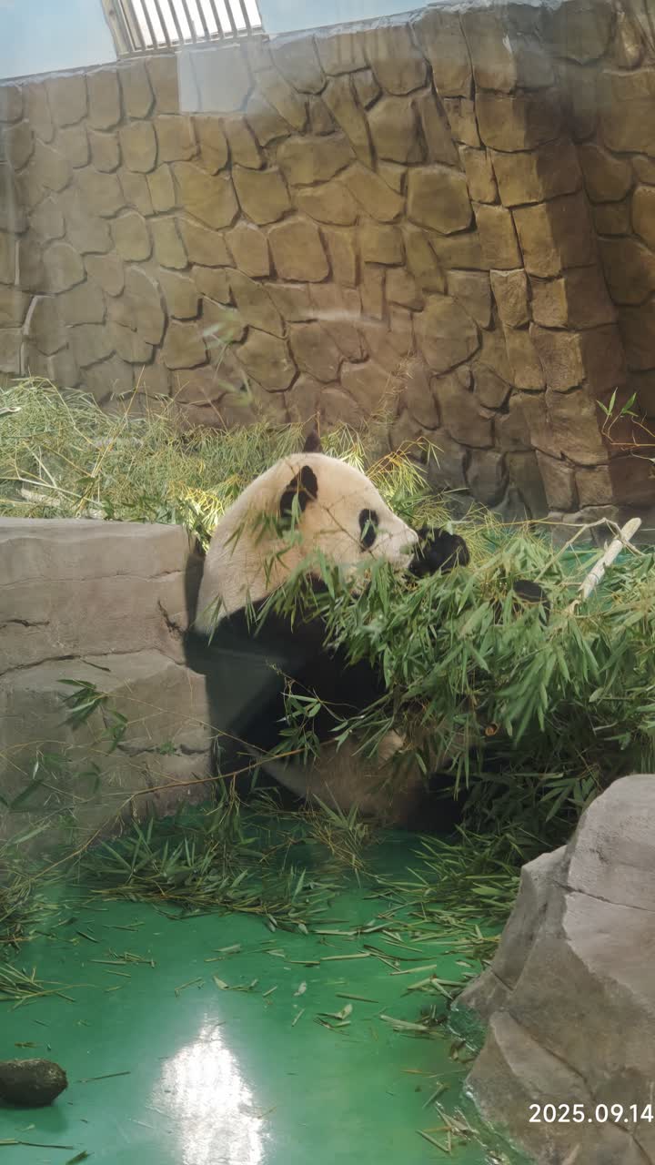 湖州