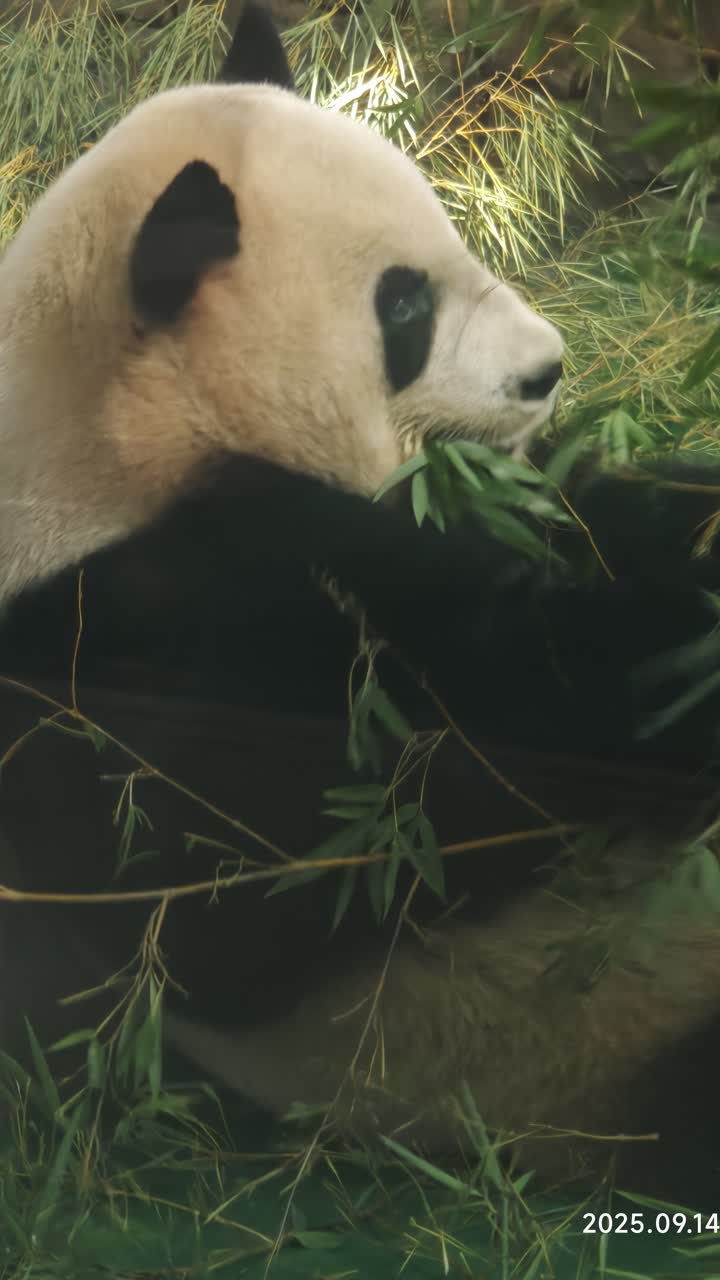 湖州