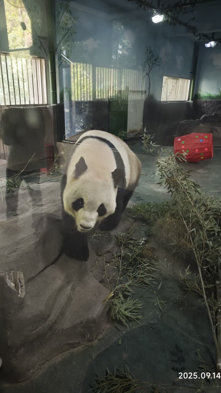 湖州