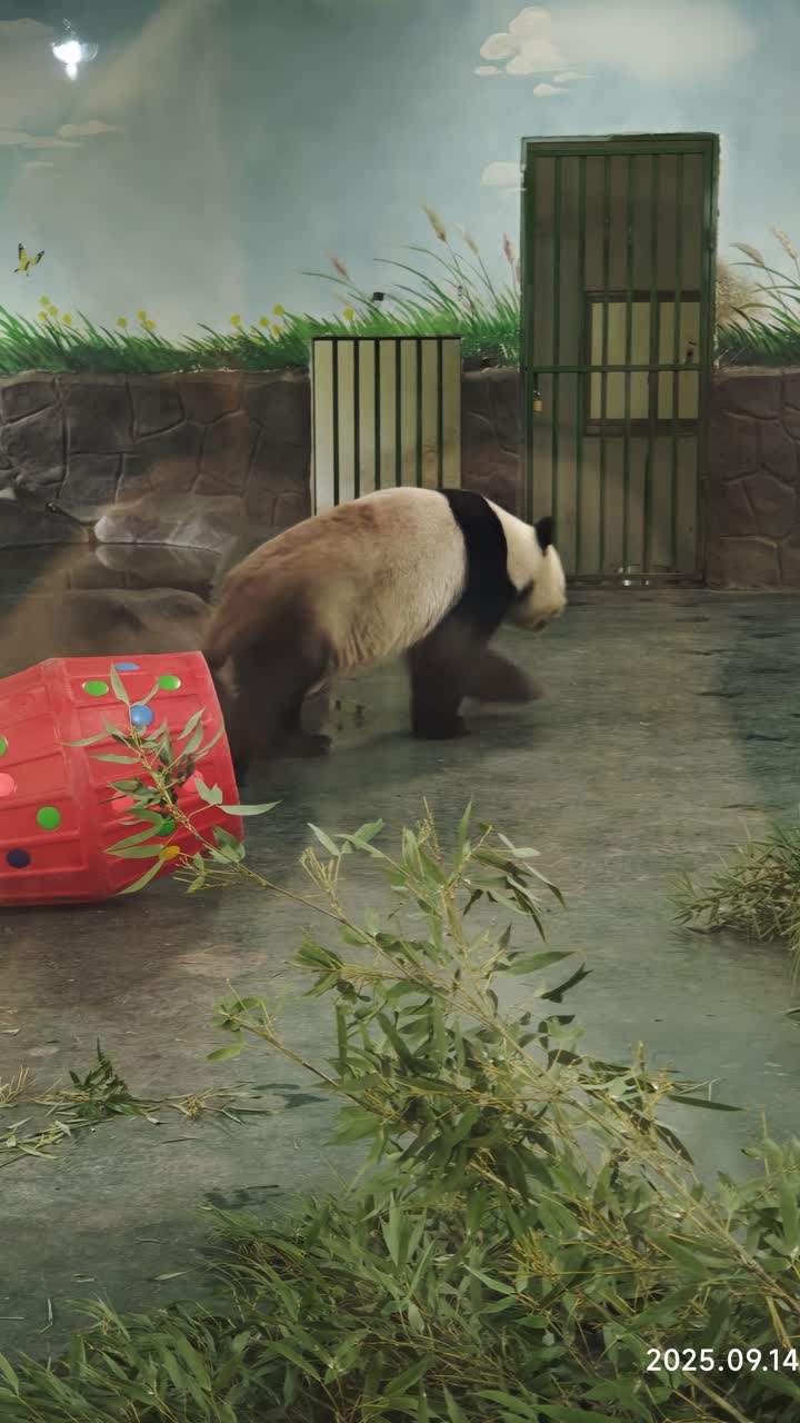 湖州