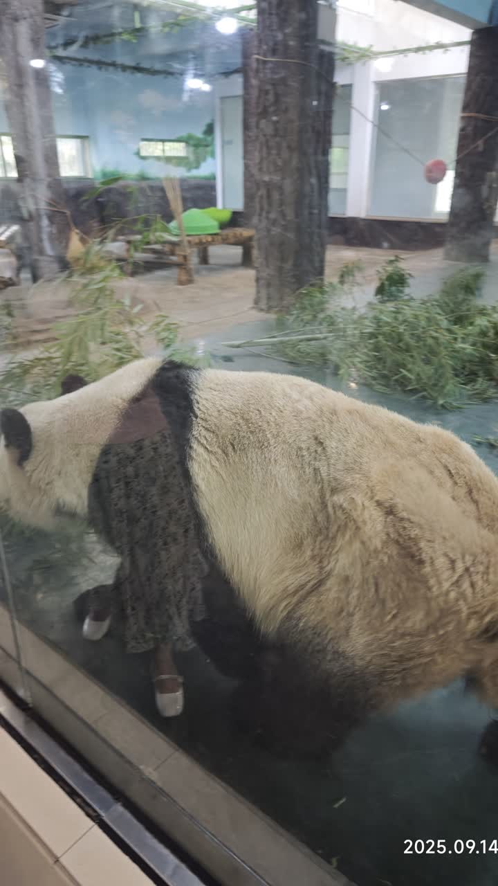 湖州