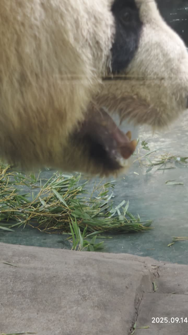 湖州