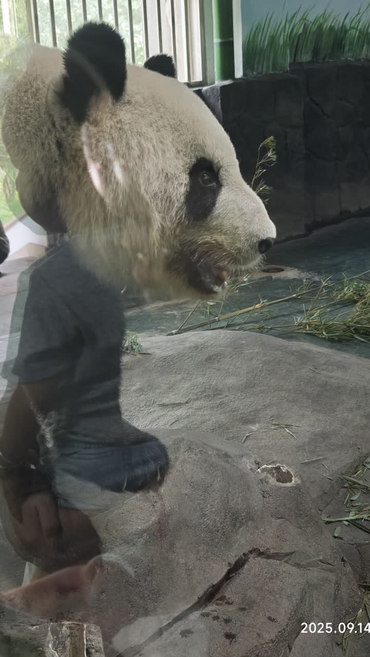湖州