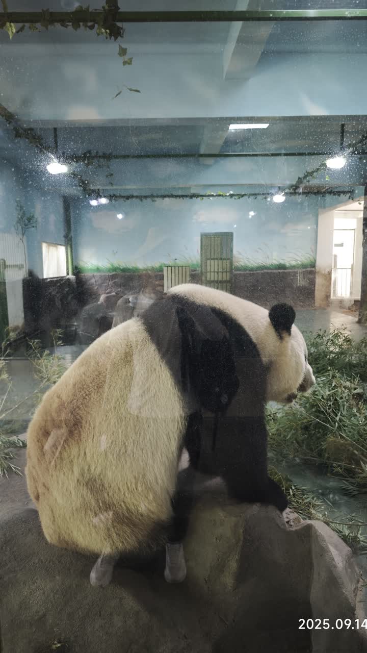湖州