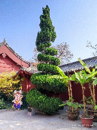 开封