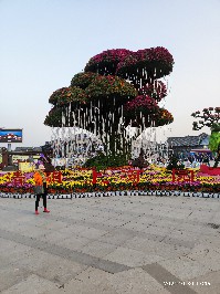 开封