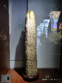 昆明