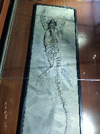 昆明