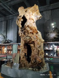 昆明