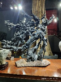 昆明
