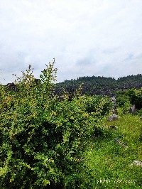 昆明