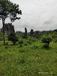 昆明