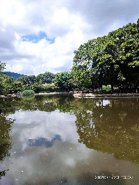 昆明