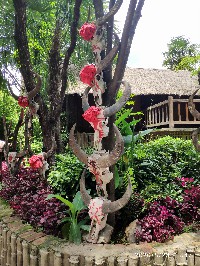 昆明
