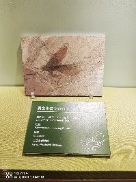兰州