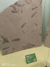兰州