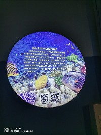 兰州