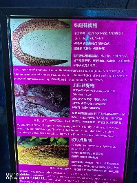 兰州
