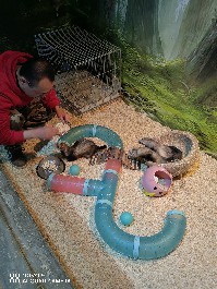 兰州