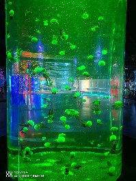 兰州